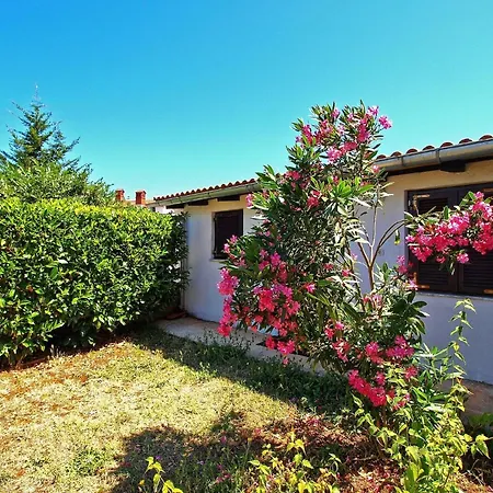Fuer 4 Personen Ca 56 Qm In Stinjan, Istrien Istrische Riviera Apartment